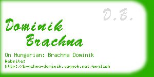 dominik brachna business card